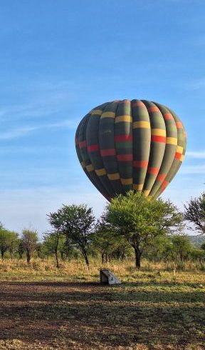 3 Days Masai Mara Luxury Safari Tour 2026/2027/2028 | Private 4x4 From Nairobi