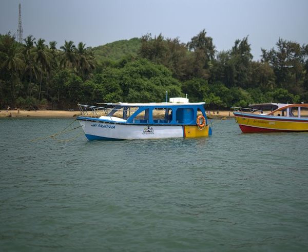 Enjoy scenic boat ride safaris in Kenya. Explore lakes & rivers, spot hippos, birds & wildlife with expert guides. Custom boat tours available.