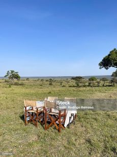 Bush Breakfast in Kenya | Luxury Safari Dining Experience
