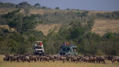Book a guided wildebeest migration safari 2026/2027/2028 in Kenya. Witness dramatic Mara River crossings, big-cat action & Great Migration safaris in Masai Mara with local expert guides.
