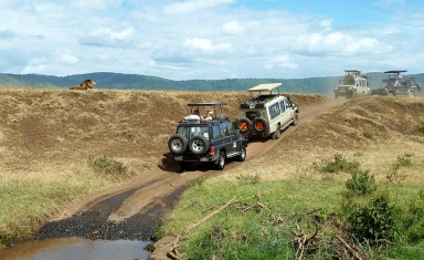 Ngorongoro Conservation Area Safari Tours 2026/2027/2028 | Ngorongoro Crater