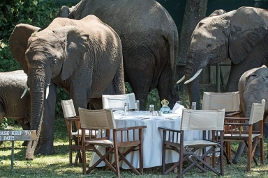 Book the best 10 Days Kenya and Tanzania Family Safari Tour 2026/2027/2028. Lake Nakuru, Masai Mara, Serengeti, Ngorongoro & Amboseli. Private, safe & child-friendly.